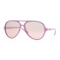 Ray-ban 4125 738/3e