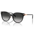 Tiffany & Co 4223-D 8001/3C