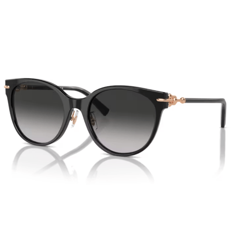 Tiffany & Co 4223-D 8001/3C